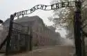 Giorno della Memoria: Auschwitz liberata