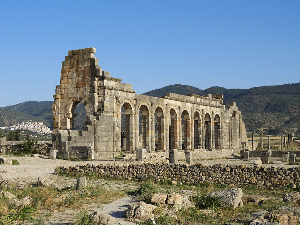 1163 - Sito archeologico di Volubilis - Marocco