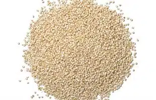 Agroalimentare, a Pedon lâesclusiva <br> per la Quinoa Alisur