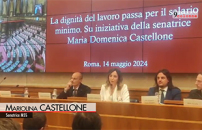 Salario minimo, Castellone (M5s): andiamo avanti, aumenterebbe restribuzione a 3 mln italiani