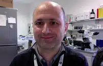 Genetica dei topi, prof di Padova nel team di uno studio internazionale 