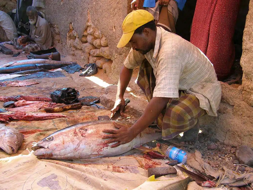 358 - Il mercato del pesce nell'isola di Soqotra - Yemen
