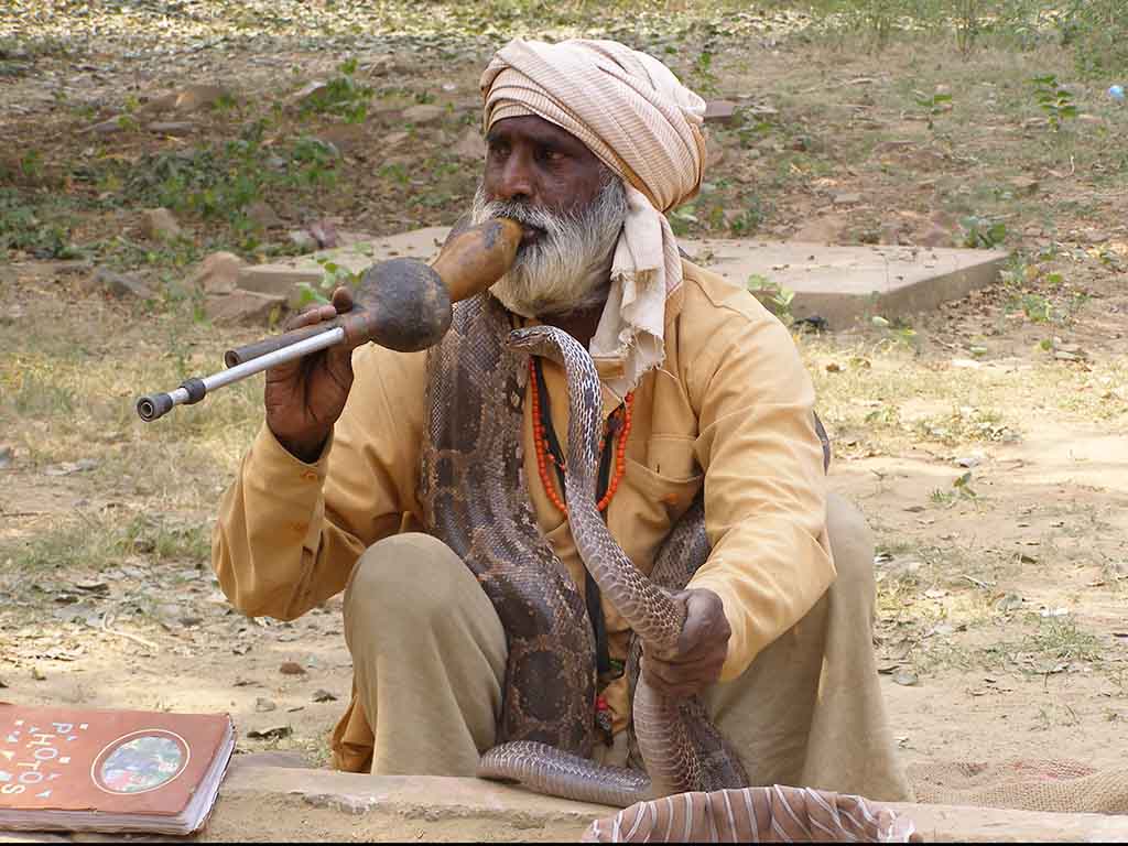 851 - Incantatore di serpenti - India