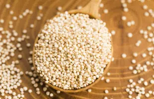 Ricerca, ecco come la quinoa <br> si difende dal sole