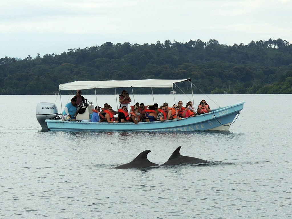423 - Arcipelago Bocas del Toro - Panama