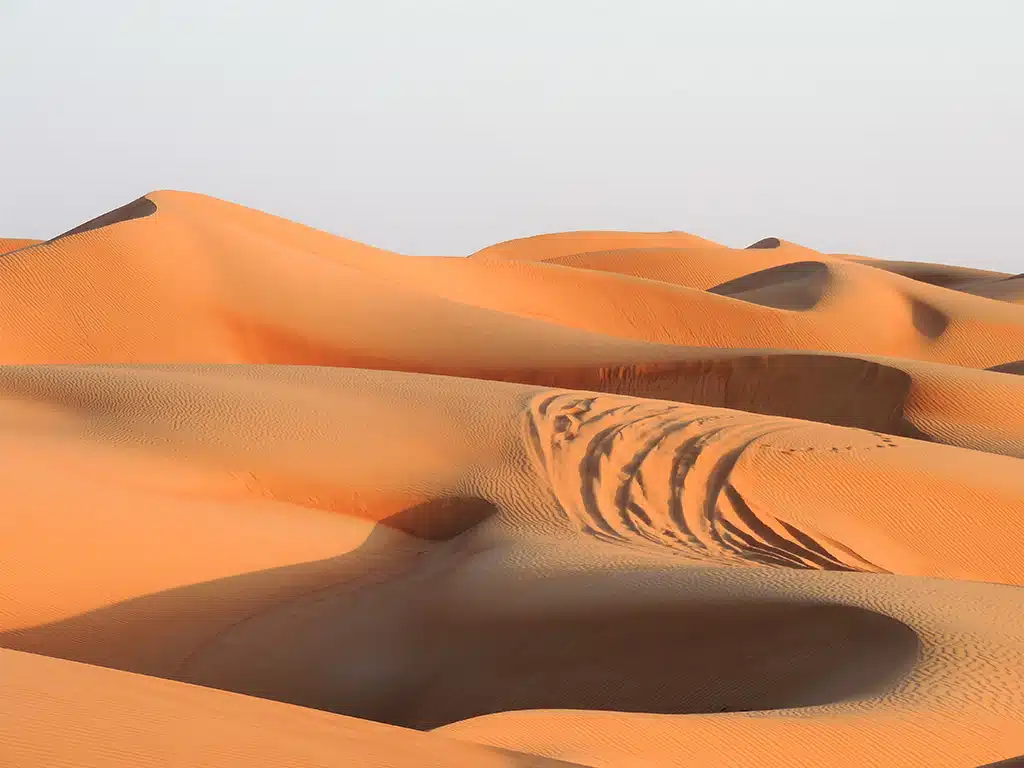 1059 - Deserto di Wahiba Sands - Oman