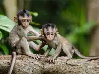Ø¨Ø­Ø« Ø¹ÙÙÙØ 