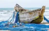 Gabriele Bertacchini: <br> 'Il pesce e' finito'