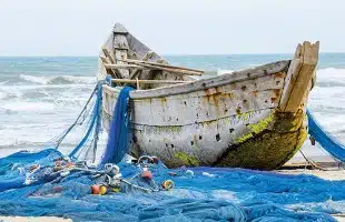 Gabriele Bertacchini: <br> 'Il pesce e' finito'
