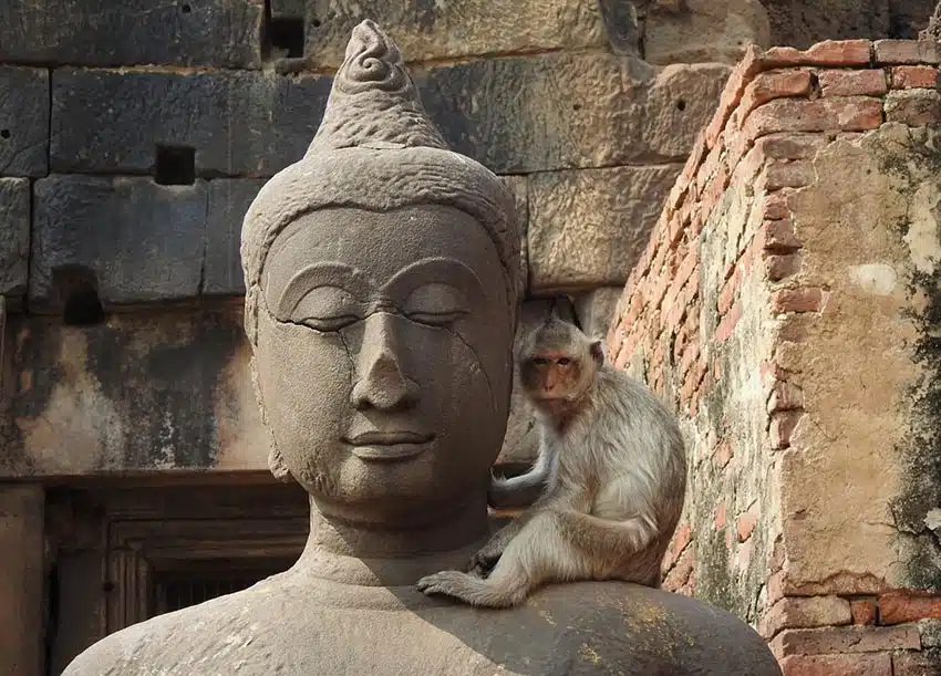 1092 - Macaco presso il tempio indu Phra Prang Sam Yod a Lopburi - Thailandia