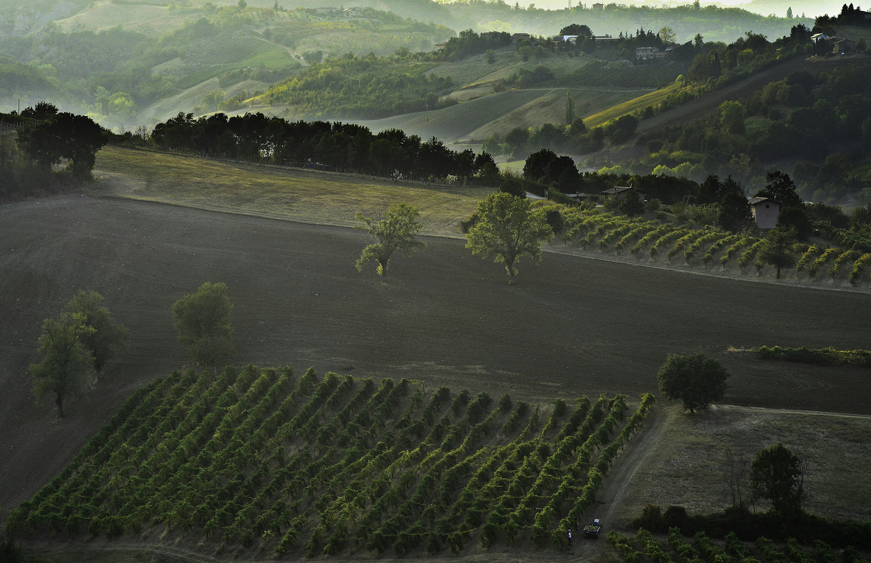 Sapori e tradizione tra le colline del Lambrusco