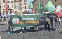 CACCIA, AVS IN PIAZZA <br> CONTRO LOLLOBRIGIDA 