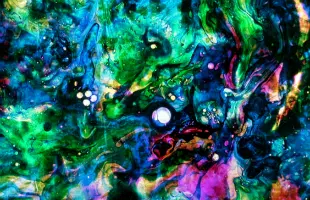  Siena: lâinstallazione <BR> di Stan Brakhage  