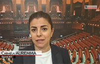 DISABILI, AURIEMMA (M5S): NESSUNA RISPOSTA SU BARRIERE ARCHITETTONICHE PROVINCIA DI NAPOLI    