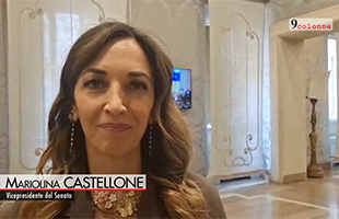 Sanita’, focus in senato su medicina prossimita’. Castellone: non ripetere errori covid