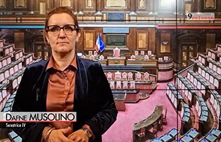 Dl Elezioni, Musolino (IV): Stop al voto fuorisede è inaccettabile, si penalizzano giovani e Meridione