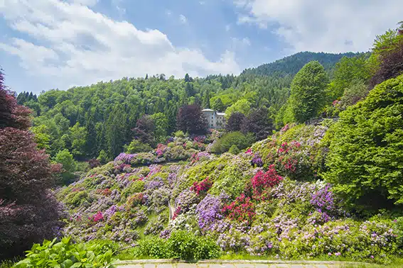 Oasi Zegna: a passeggio tra i fiori piemontesi