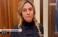 Madia (Pd): Pdl per assemblee di cittadini elette a sorteggio