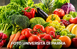 Promuovere abitudini alimentari sane nelle famiglie: lâUniversitÃ  di Parma partner di Panacea