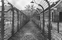 La musica oltre lâorrore dei lager, viaggi della memoria per gli studenti di Rimini