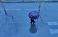 FREDDO E MALTEMPO <BR> E AL NORD âGELICIDIOâ