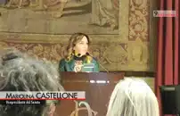 Web, Castellone (M5s): coinvolgere giovani in regolamentazione, non decidere per loro