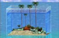 A Matera arriva la videoarte cubana