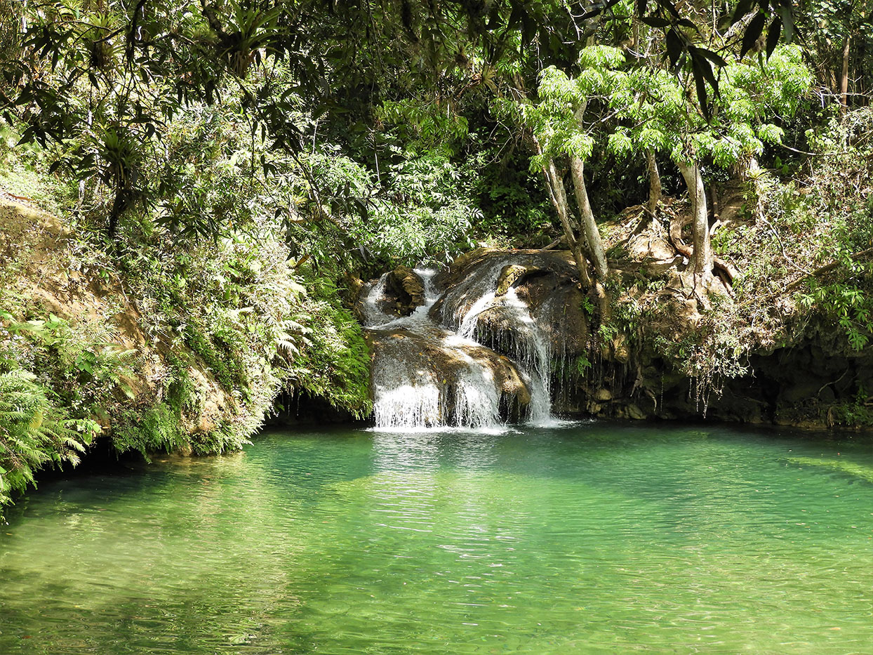 1064 - Parco Topes de Collantes a Trinidad - Cuba