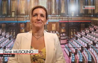 L. Elettorale, Musolino (Iv): Maggioranza senza accordo, cambia regole in base ai sondaggi