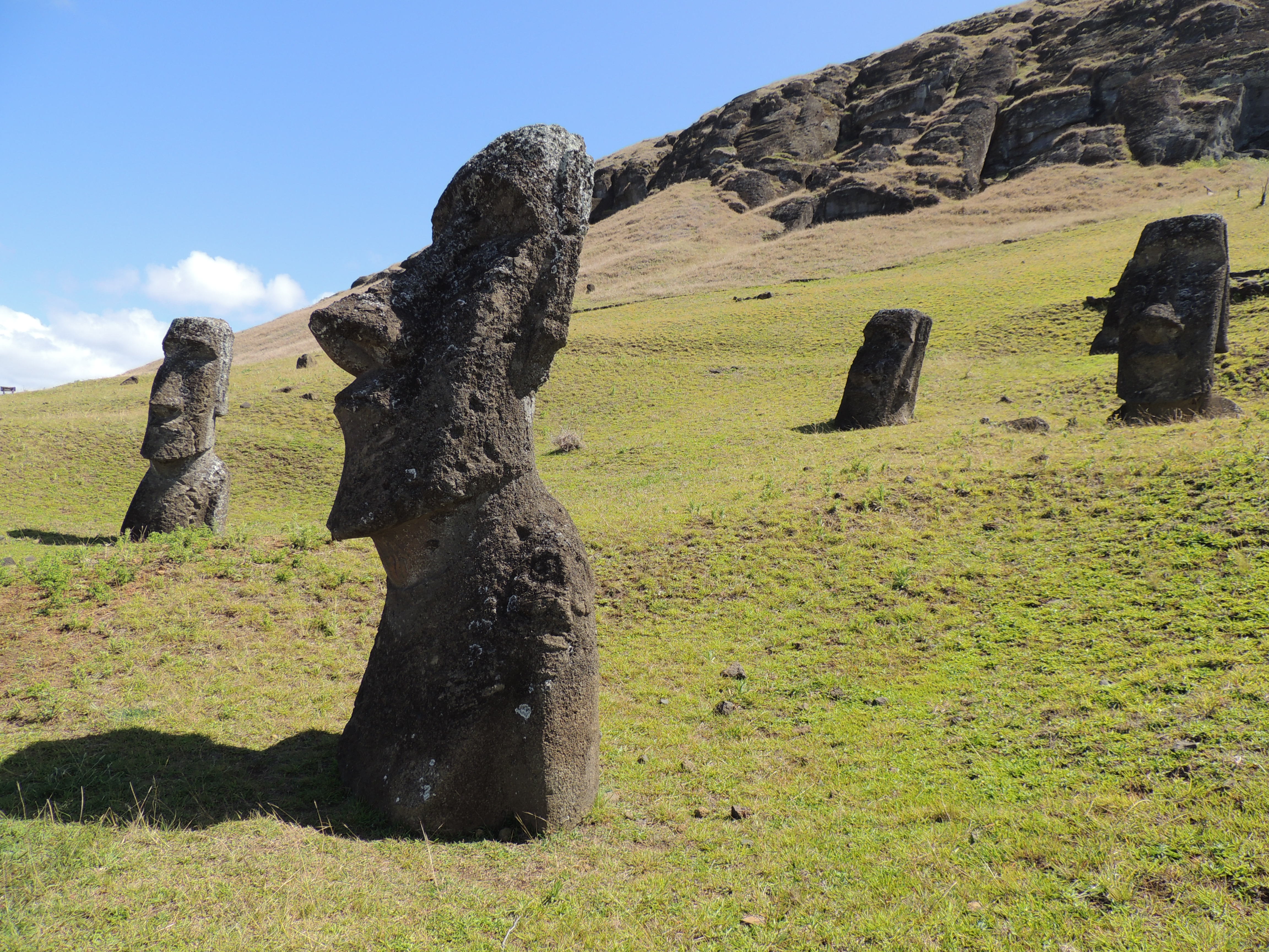41 - Moai (Isola di Pasqua)