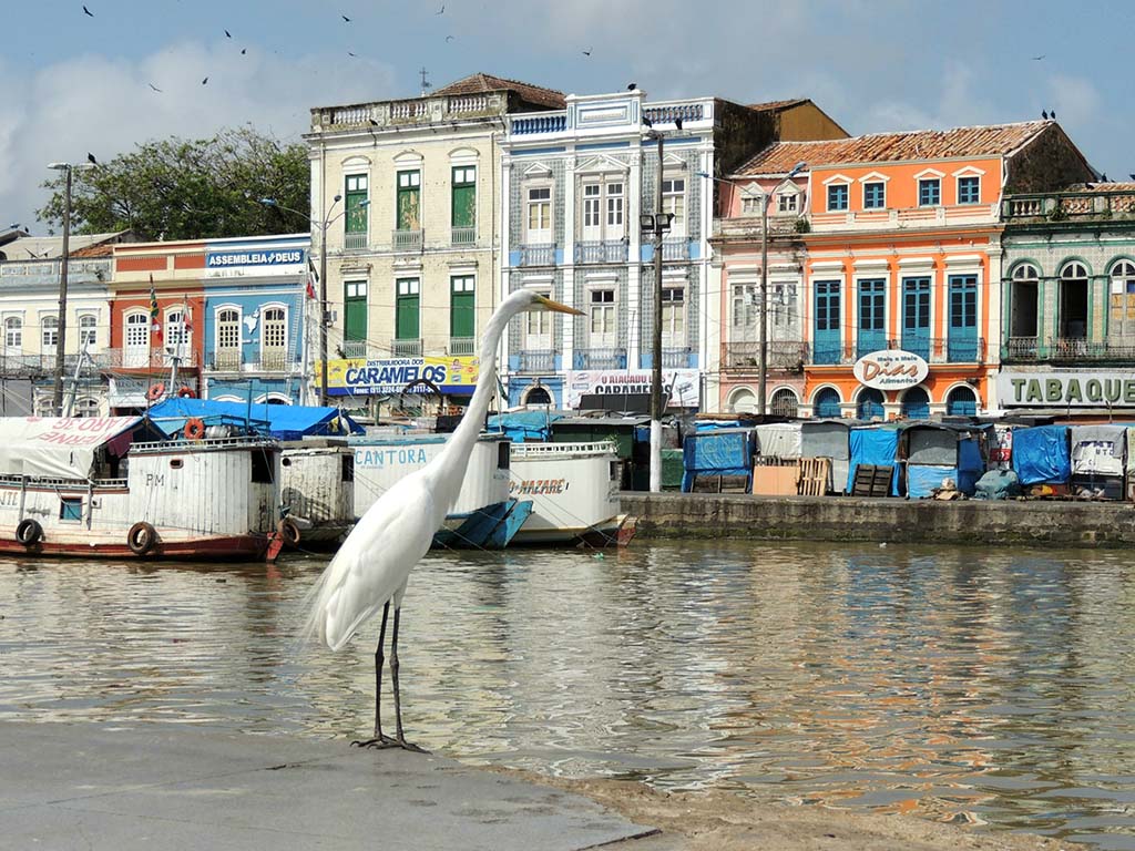 502 - In giro per la citta' di Belem - Brasile