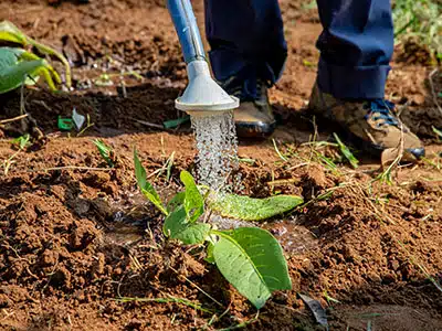 AGRICOLTURA: ENEA NEL PROGETTO UE PER LA LOTTA ALLA DESERTIFICAZIONE