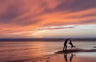 Al mare o in montagna con lâamico a quattro zampe 