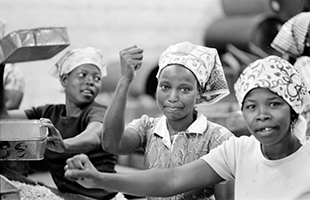 “Venham mais cinco”: la fotografa e giornalista Augusta Conchiglia all’evento di chiusura