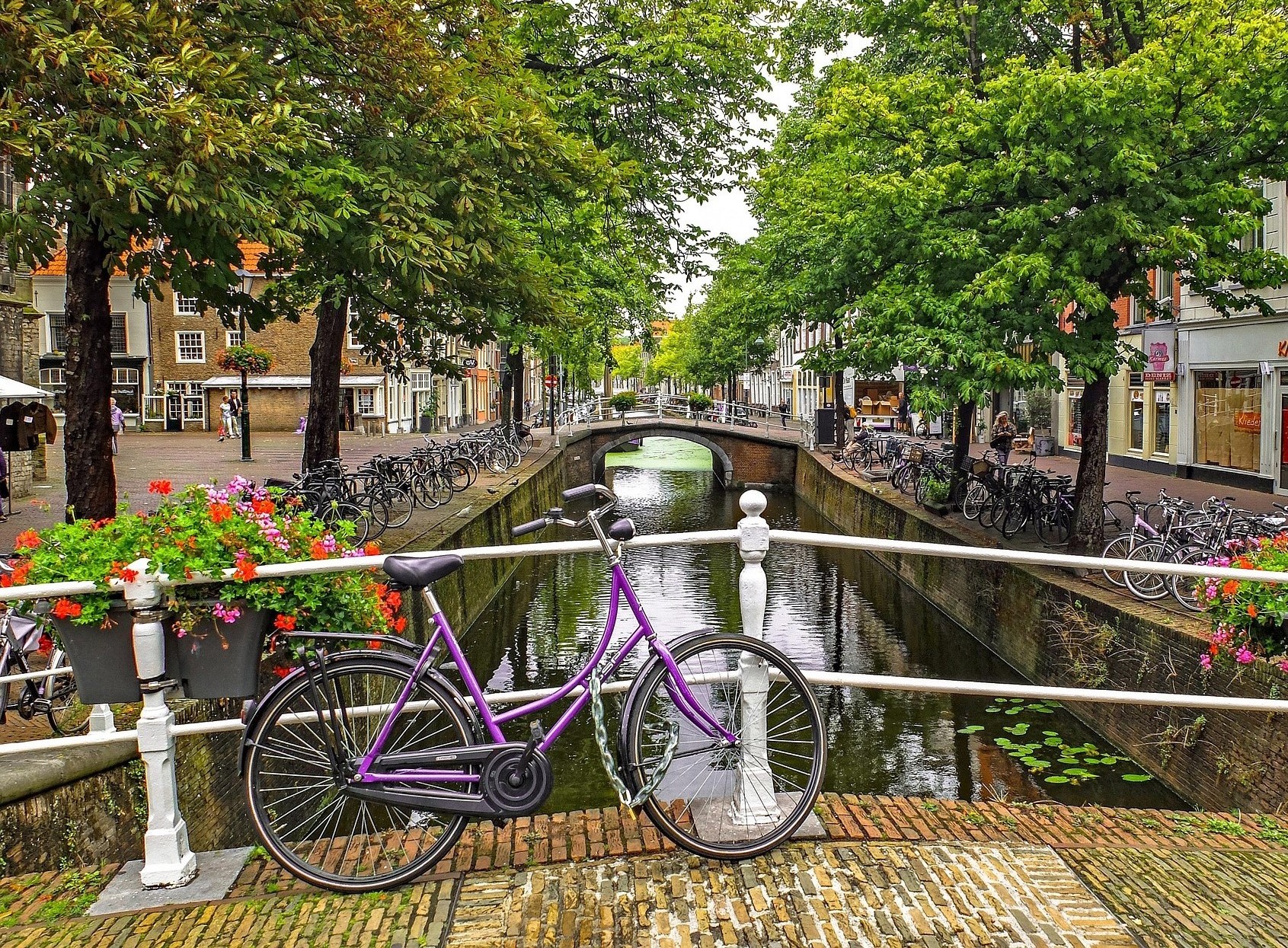 Lungo i canali di Amsterdam - Olanda