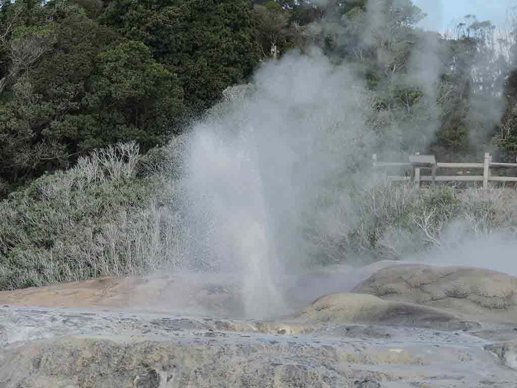 157 - Geyser di Te Puia - Nuova Zelanda