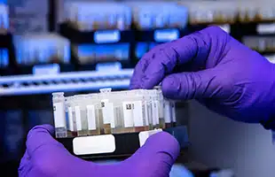 LâItalia entra in Sesame, il grande laboratorio della cooperazione scientifica in Medio Oriente