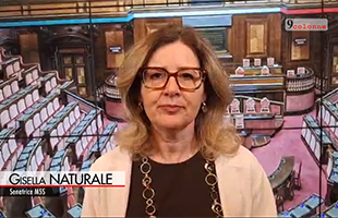 Animali, Naturale (M5S): no a maltrattamenti conigli, mettere a terra risorse    