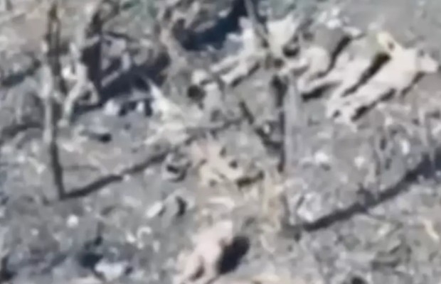 DEEPSTATE: ASSASSINATI <BR> 5 PRIGIONIERI UCRAINI