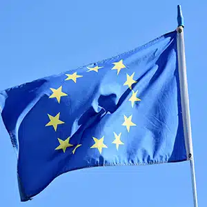US looks to EU countries to boost domestic egg supply - yet Italy says no