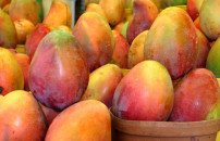 CRISI CLIMA, E' BOOM <BR> FRUTTA TROPICALE