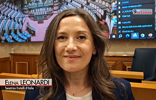 Libri, in Senato la storia delle artiste marchigiane 