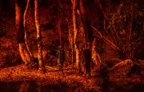 World Press Photo: <br> gli scatti a Roma