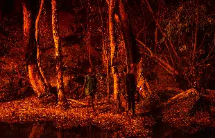 World Press Photo: <br> gli scatti a Roma