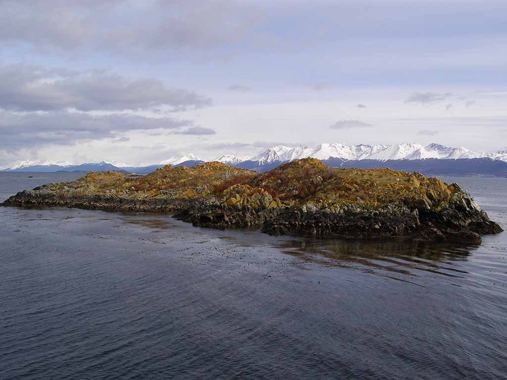 529 - Canale di Beagle in Patagonia - Argentina