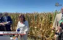 Siccitaâ, Casellati: nel Polesine per raccogliere allarme agricoltori