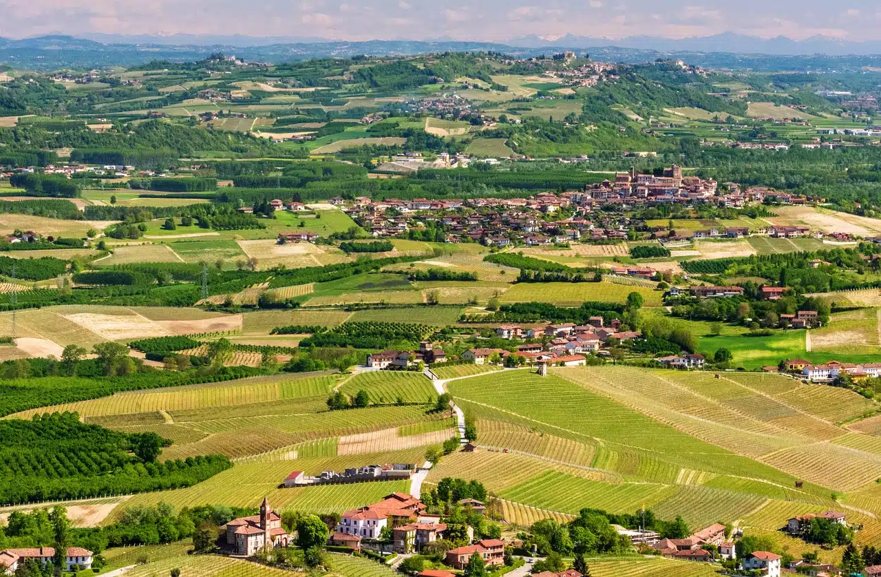 Nel cuore piemontese delle langhe