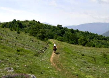 EFFETTO PARCHI SUL PIL <BR> MA NO AL MEZZOGIORNO 