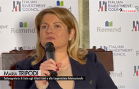 Investimenti esteri, Tripodi: Italia in congiuntura favorevole