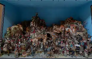 Dagli animali alle rocce: le collezioni ISPRA a Roma